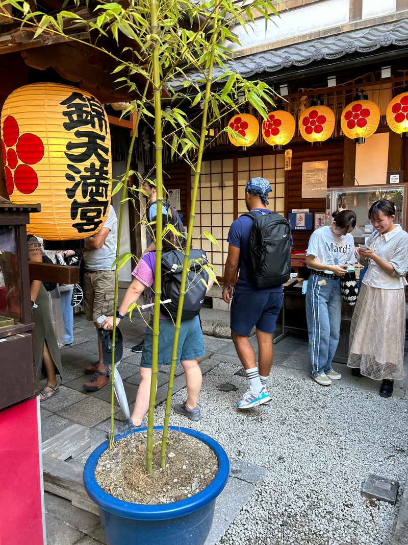 Voyage à Tokyo - inspiration Siya Vibes