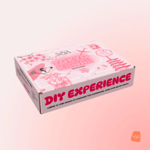 Box DIY decoden pour coque de téléphone kawaii inspirée du Japon